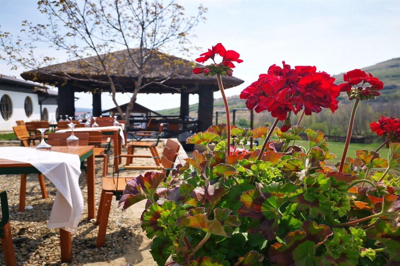 Ferma Dacilor Hotel Tohani Bagian luar foto