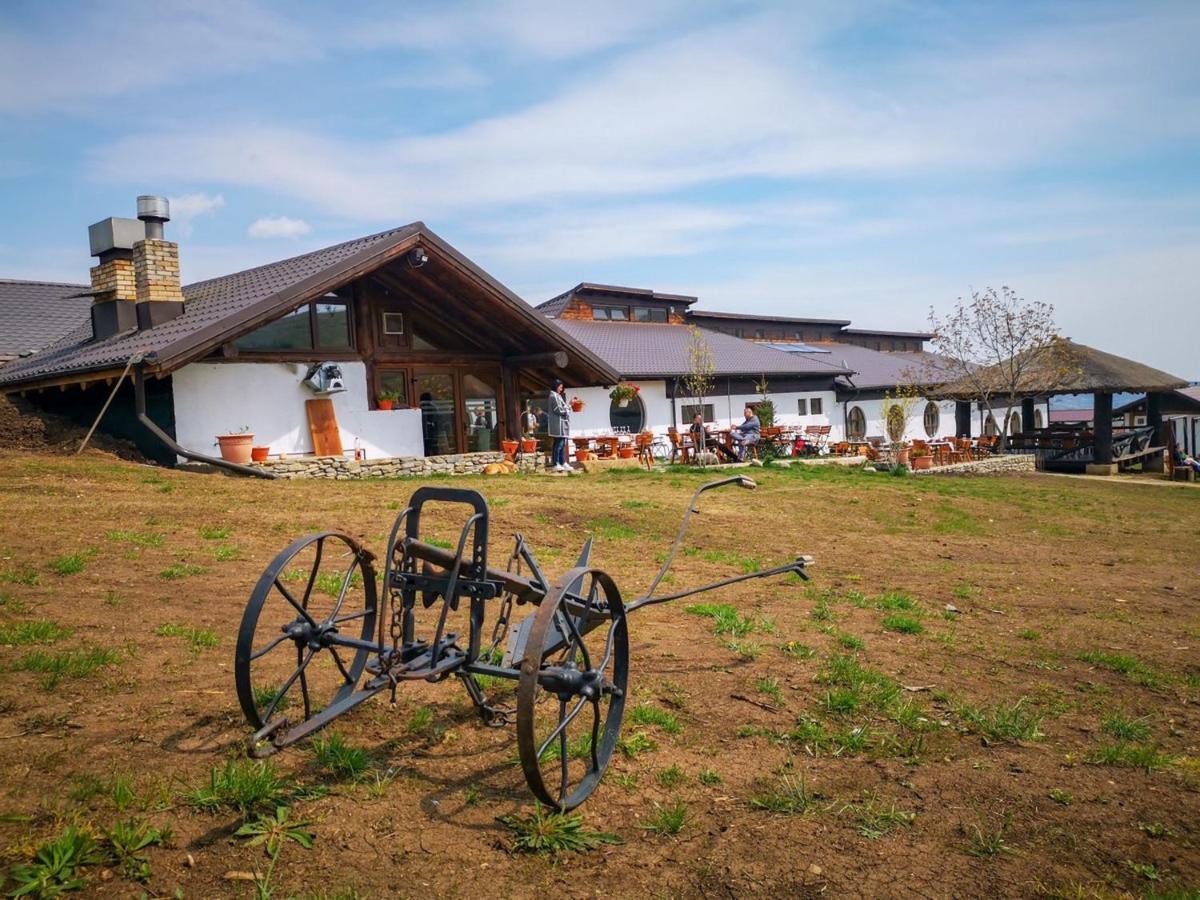Ferma Dacilor Hotel Tohani Bagian luar foto