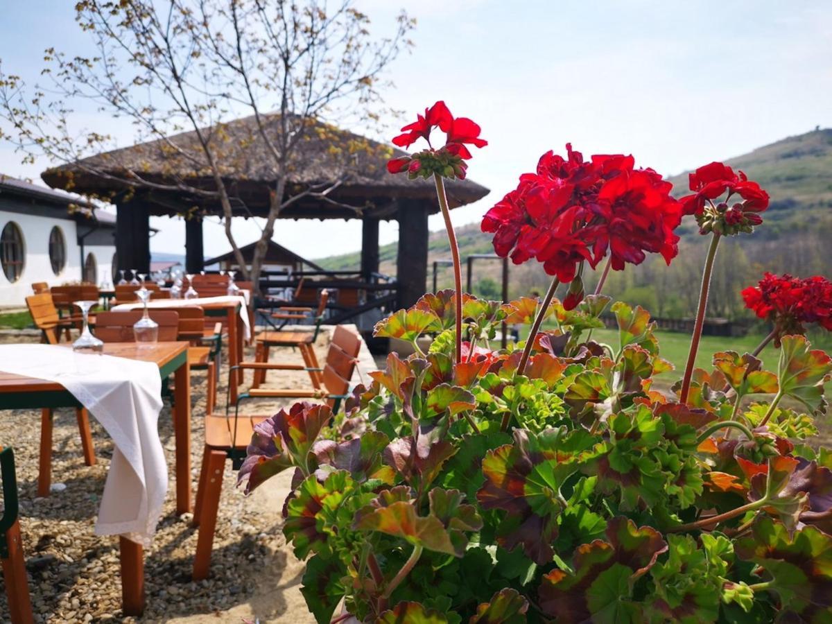 Ferma Dacilor Hotel Tohani Bagian luar foto