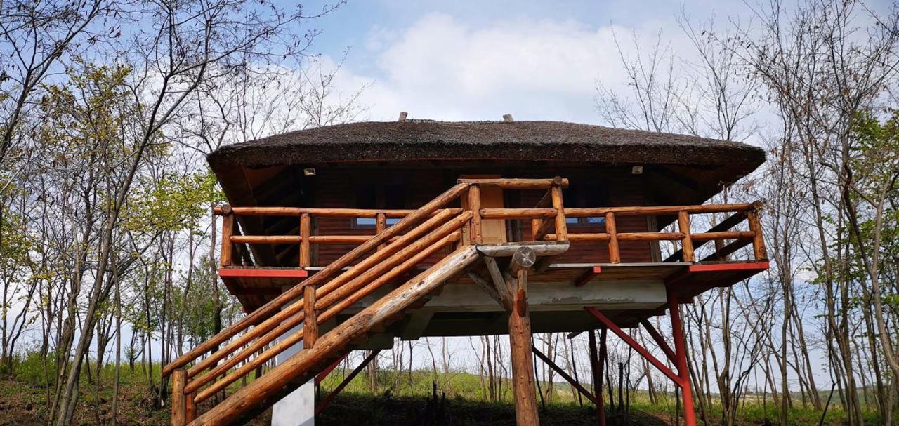 Ferma Dacilor Hotel Tohani Bagian luar foto